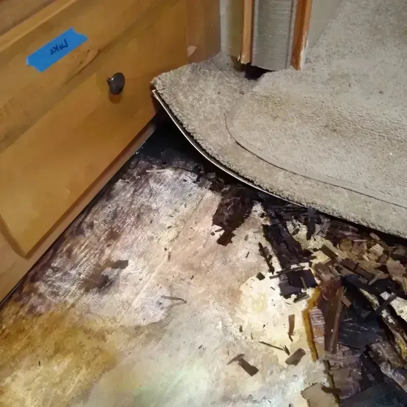 Wood Floor Water Damage in Grand Terrace, CA